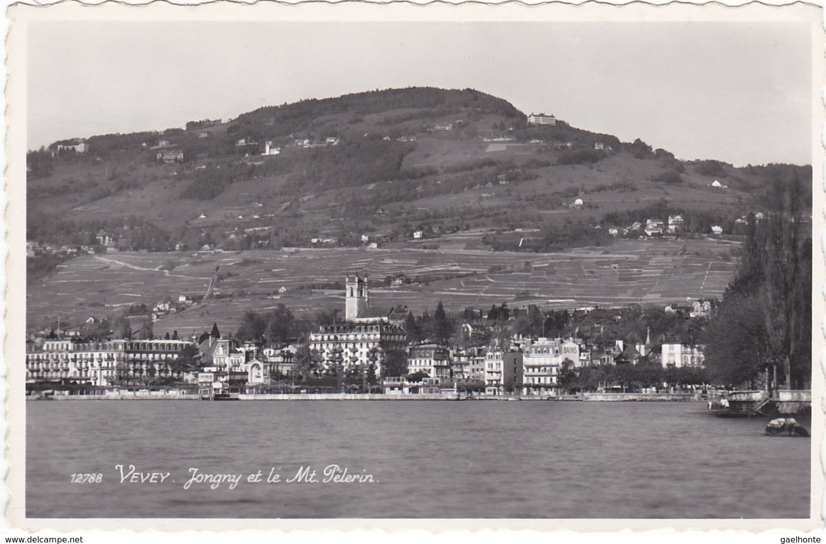 E1749 VEVEY - JONGNY ET LE MONT PELERIN - Jongny