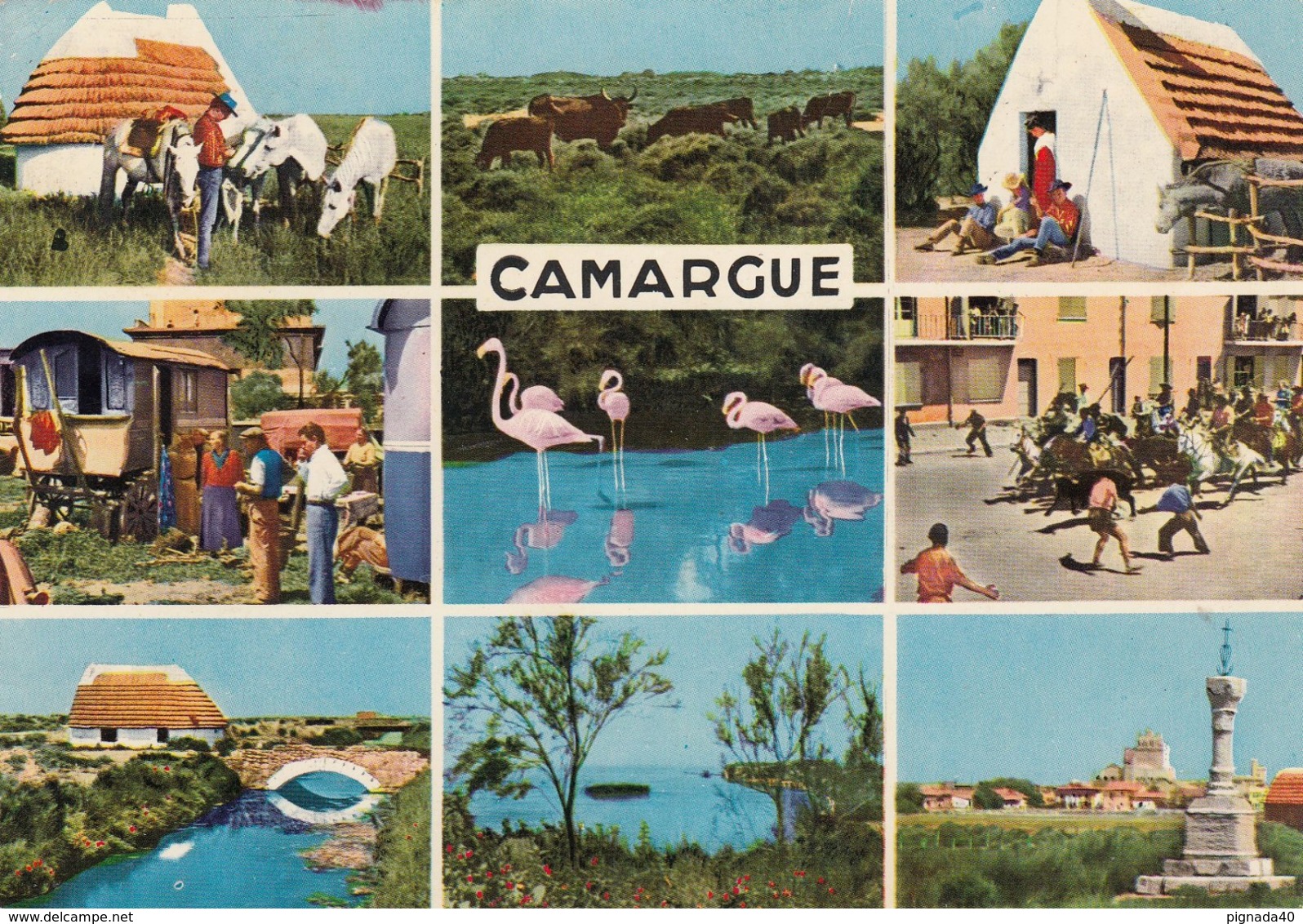 Cp , 13 , CAMARGUE , Souvenir , Multi-Vues - Saint-Louis-du-Rhône