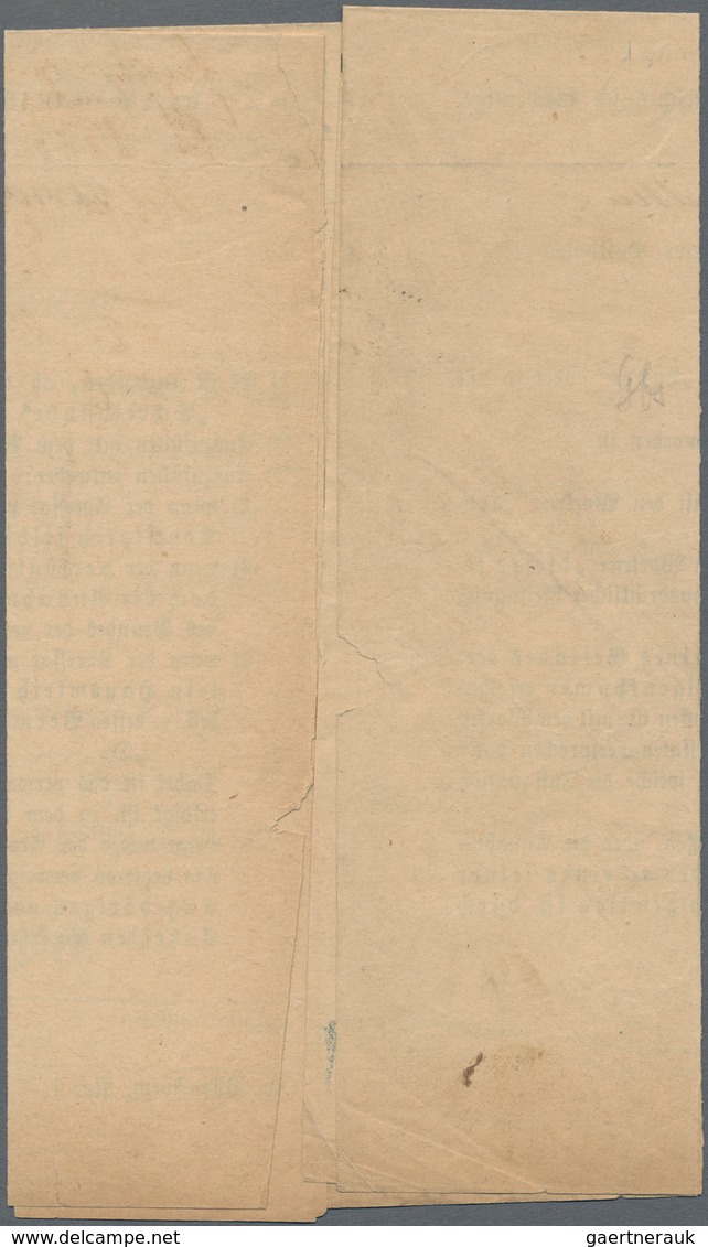 Deutsches Reich - Brustschild: 1872, Kleiner Schild 1 Gr. Karmin Auf Orts-Vordruck-Insinuationsdokum - Brieven En Documenten
