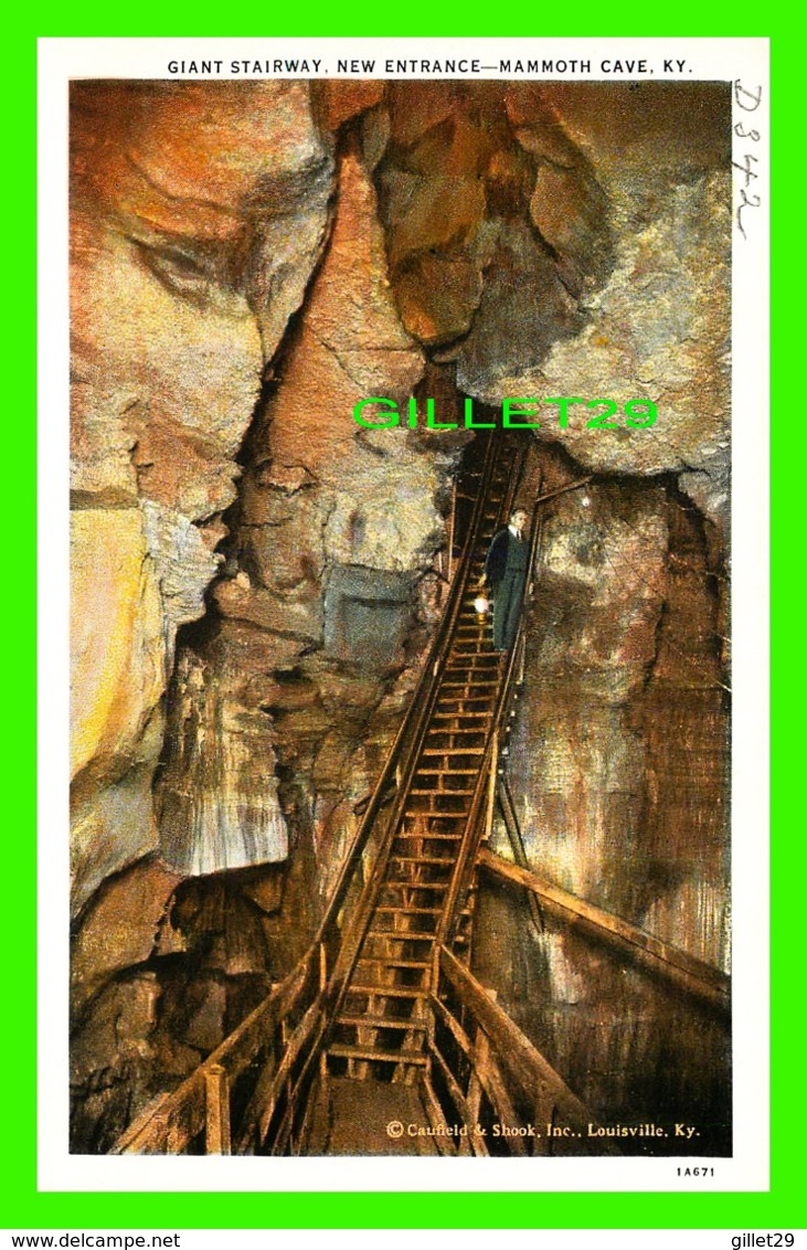 MAMMOTH CAVE, KY - TOP OF ROOSEVELT DOME & PASSED DOWN INTO SOLOMON'S TEMPLE - L.A. FERGUSON  - WRITTEN IN 1933 - - Mammoth Cave