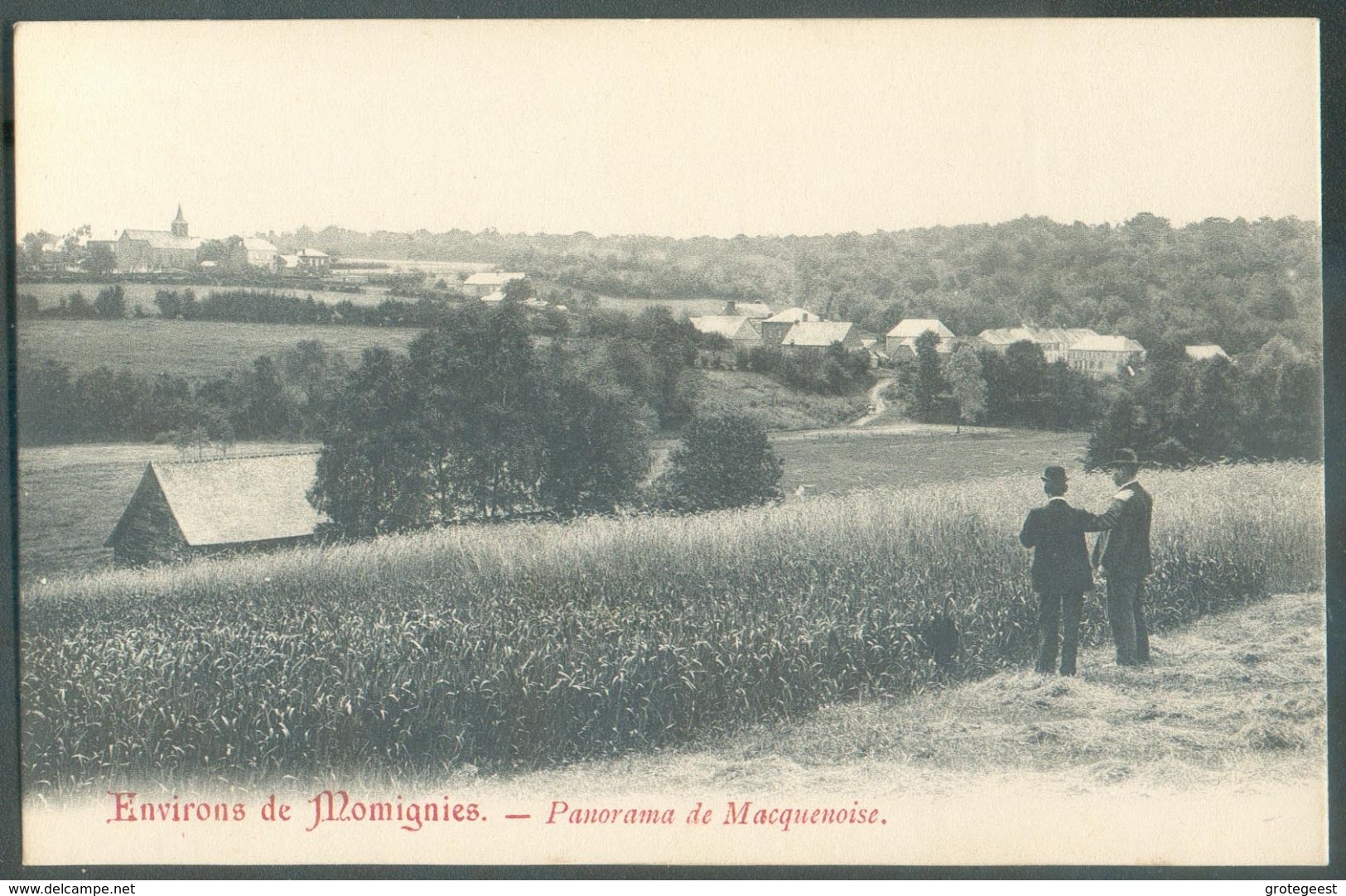 CP De MACQUENOISE Panorama - 14633 - Momignies