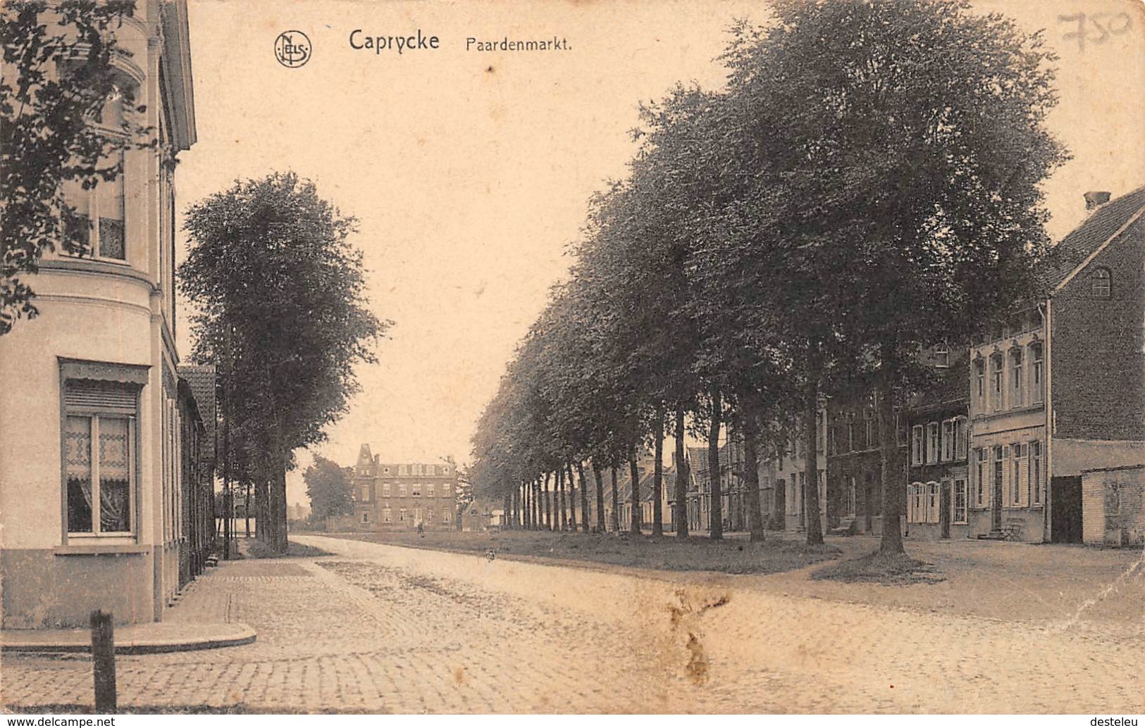 Paardenmarkt - Caprijcke - Kaprijke - Kaprijke