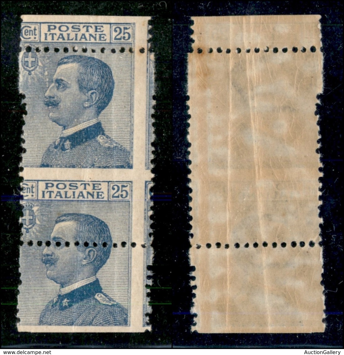 REGNO - 1908 - 25 Cent Michetti (83 - Formato Anomalo) - (salto Di Dentellatura Di 30 Millimetri In Verticale) - Gomma I - Altri & Non Classificati