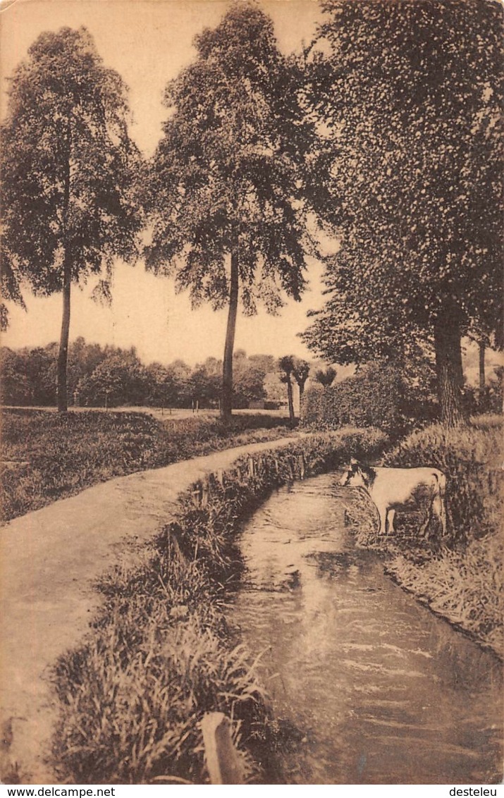 Au Bord De La Woluwe - Zaventem