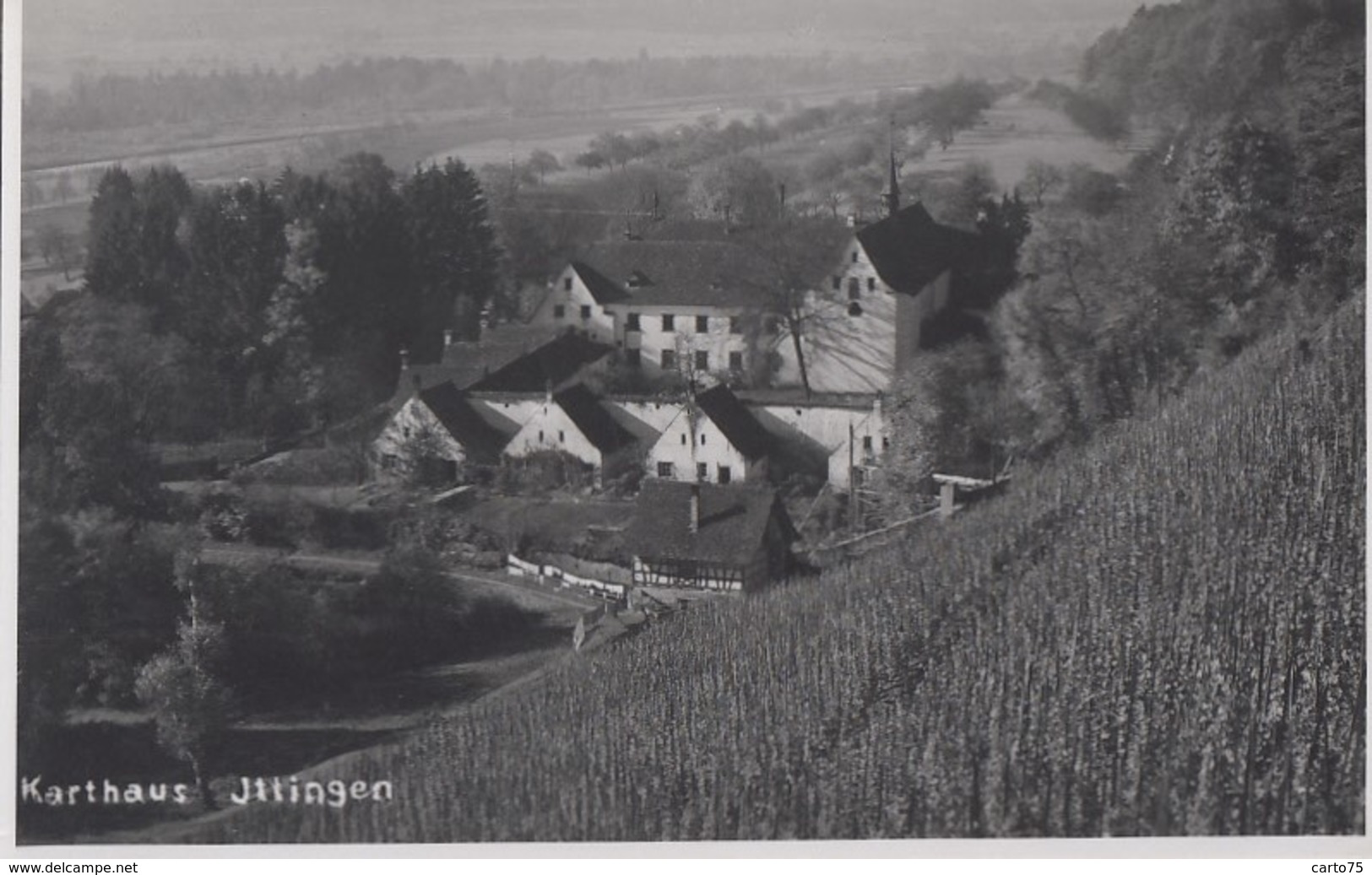 Suisse - Warth-Weiningen - Karthause Ittingen - Carte-Photo Chartreuse Saint-Laurent - Vigne Vignoble - Frauenfeld 1941 - Frauenfeld