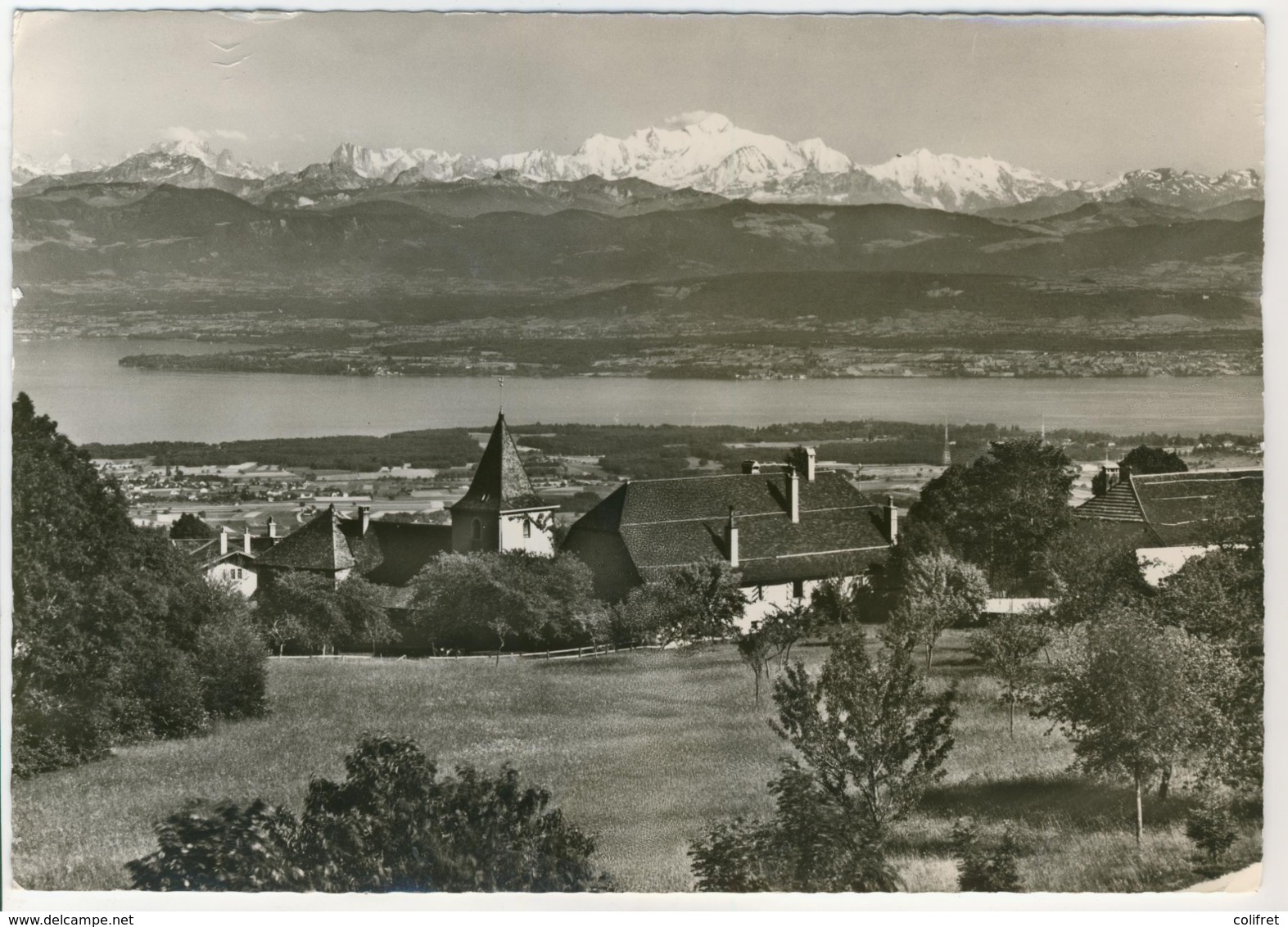 Vaud -    Arzier Et Le Mont Blanc    (150x210) - Arzier-Le Muids