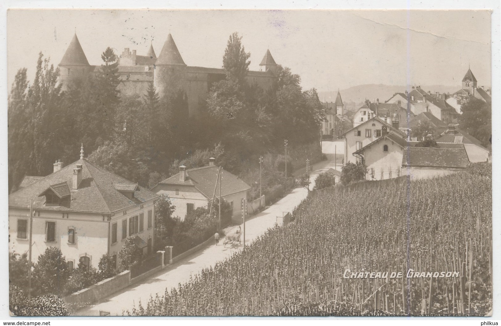 Château De Grandson - Grandson