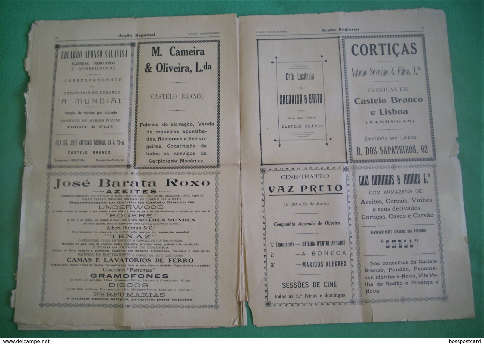 Castelo Branco - Jornal Acção Regional de Junho de 1929 - Congresso das Beiras - Imprensa