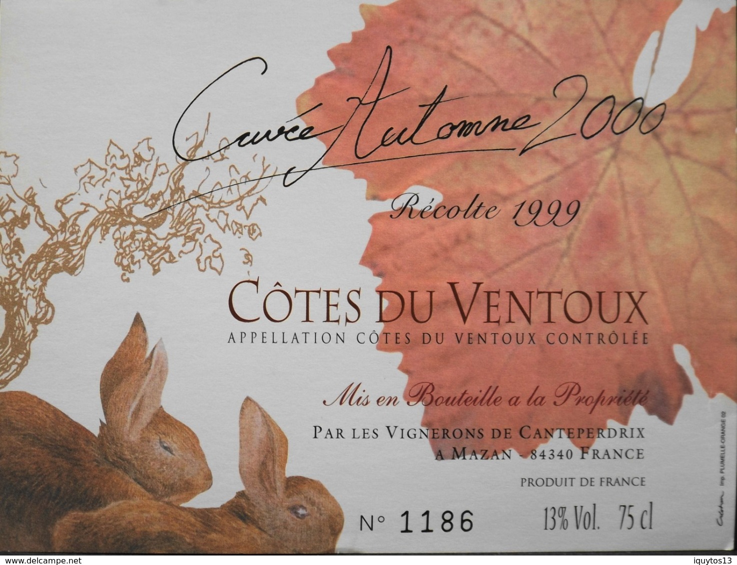 ETIQUETTE De VIN - " CÔTES Du VENTOUX " - 2000 - Cuvée D'Automne Numérotée 13° - 75cl - Parf. Etat  - - Côtes Du Ventoux