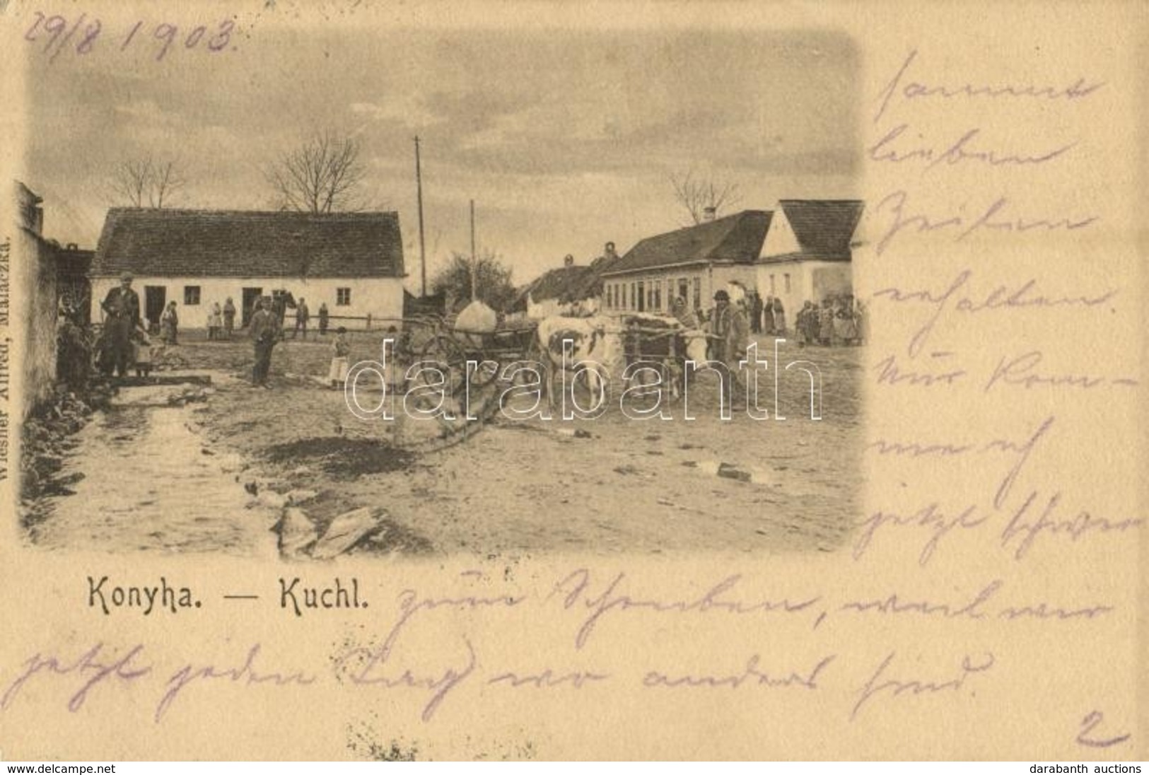 * T1/T2 1903 Konyha, Kuchyna, Kuchel; Fő Tér ökör Szekerekkel. Wiesner Alfréd / Main Square With Oxen Carts - Ohne Zuordnung