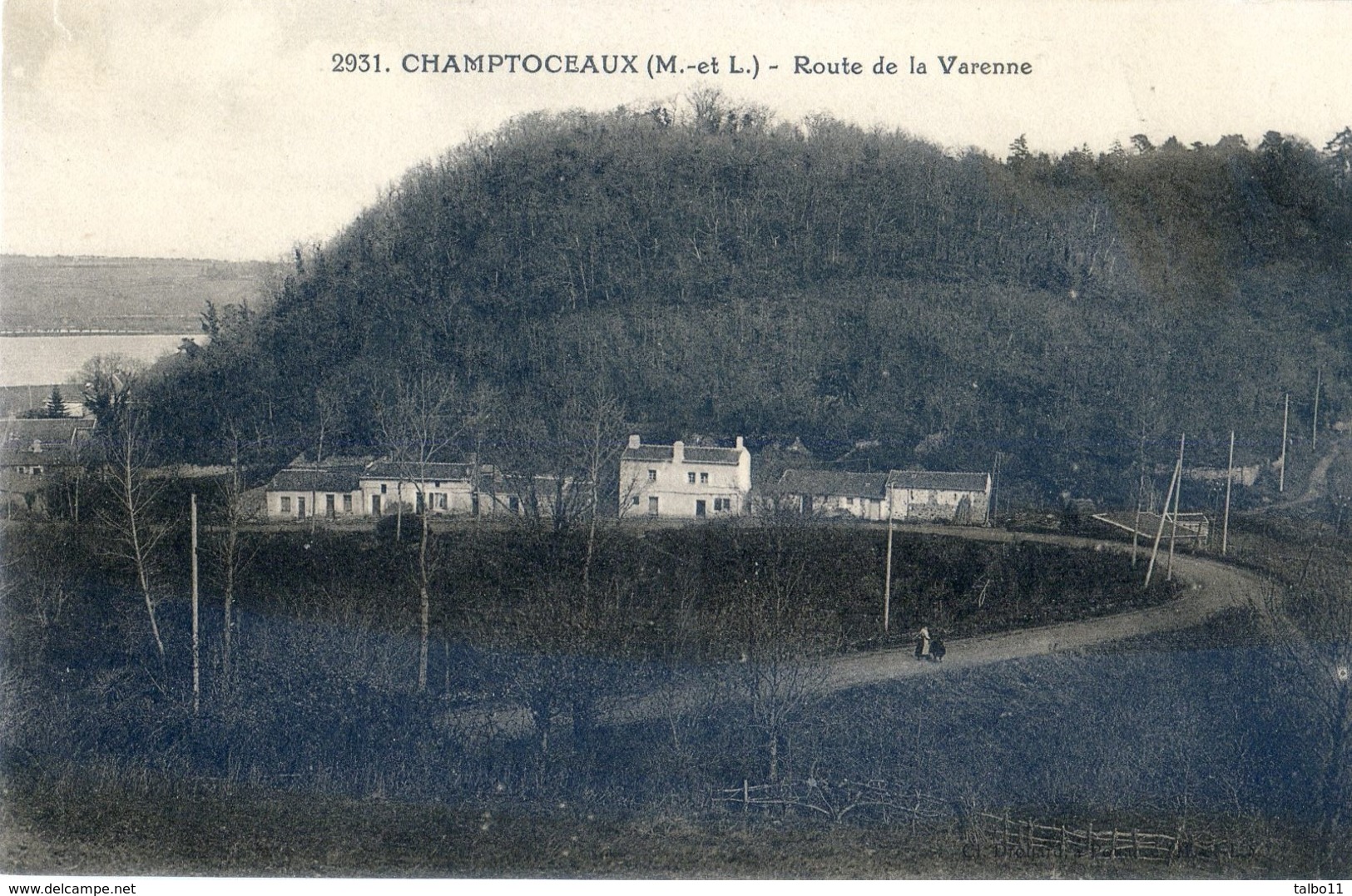 49 - Champtoceaux - Route De La Varenne - Champtoceaux