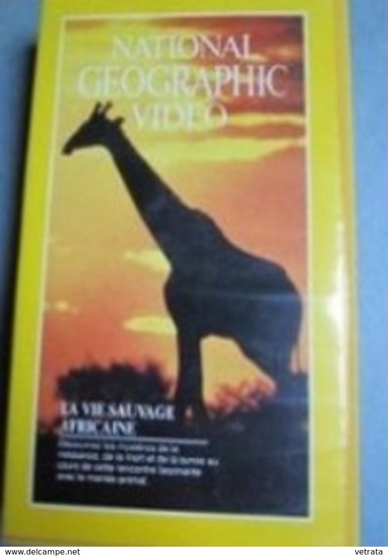 2 Cassettes V H S Du National Geographic :  La Vie Sauvage Africaine, 1980 & Le Gorille, 1981. - Documentari