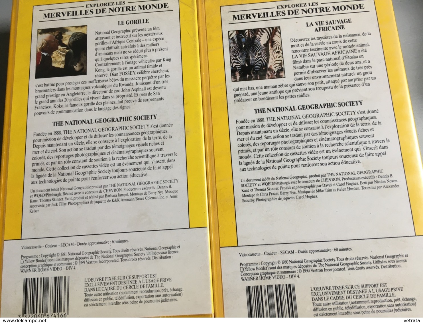 2 Cassettes V H S Du National Geographic :  La Vie Sauvage Africaine, 1980 & Le Gorille, 1981. - Documentari