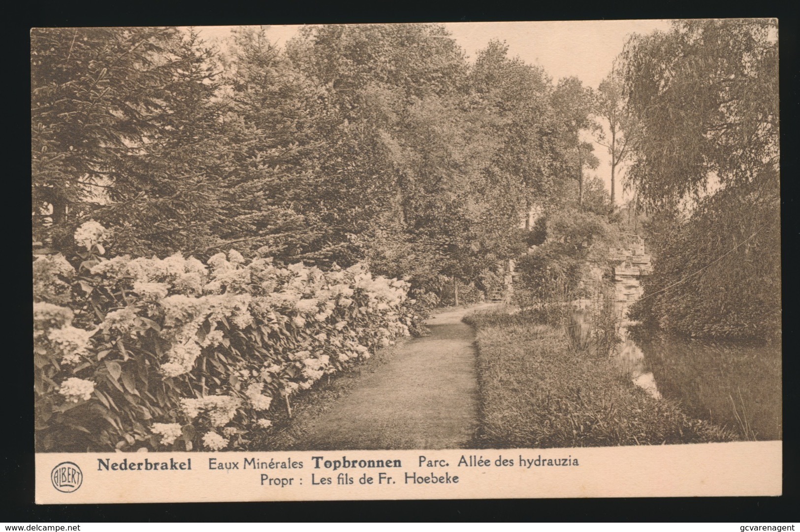 NEDERBRAKEL -  TOPBRONNEN - PARC . ALLEE DES HYDRAUZIA - Brakel