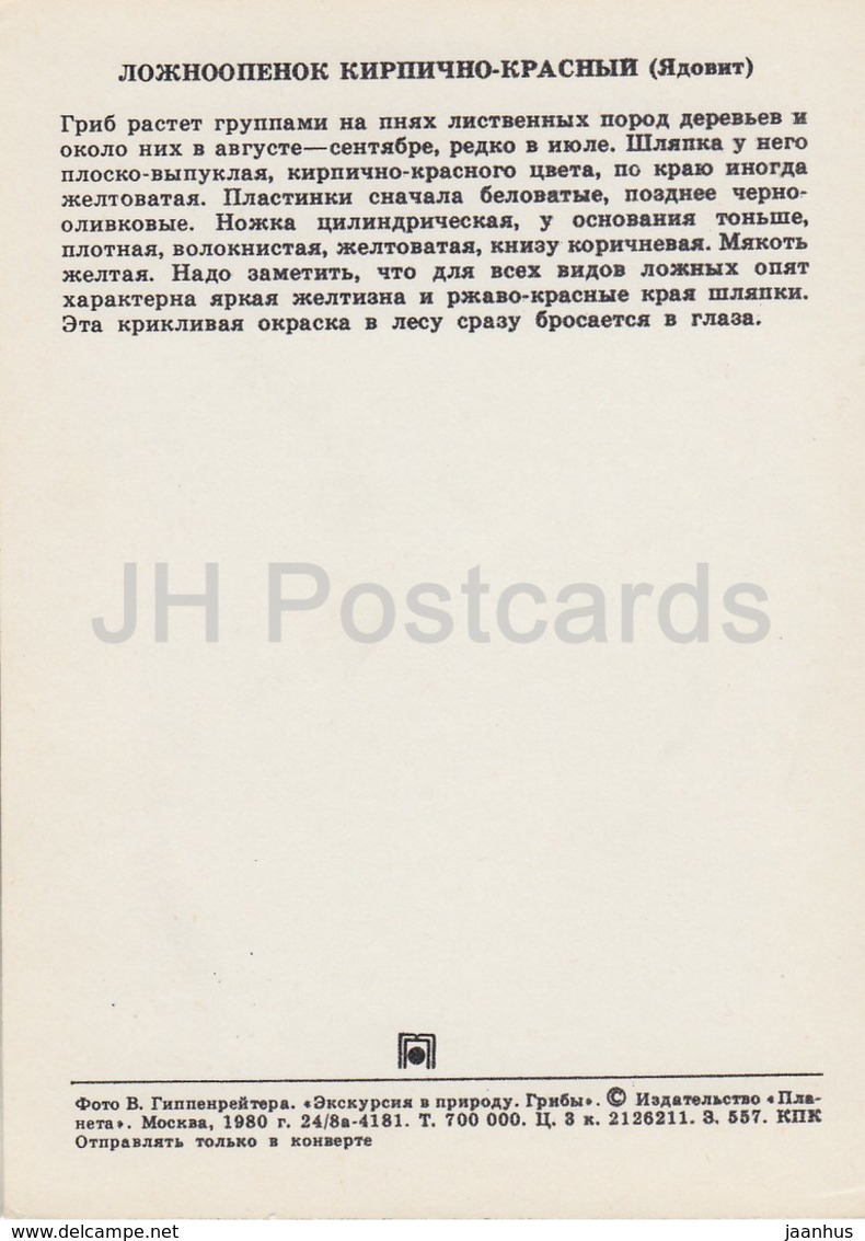 Brick Tuft Mushroom - Hypholoma Lateritium - Mushrooms - 1980 - Russia USSR - Unused - Paddestoelen