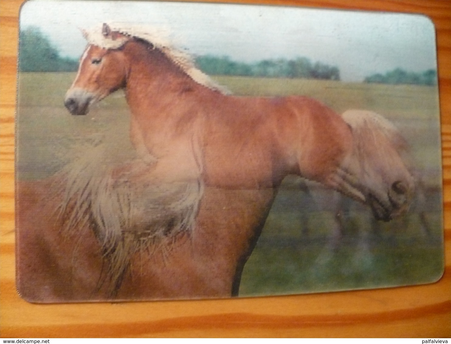 Horse - Lenticular (3D) Card  From Hungary - Other & Unclassified