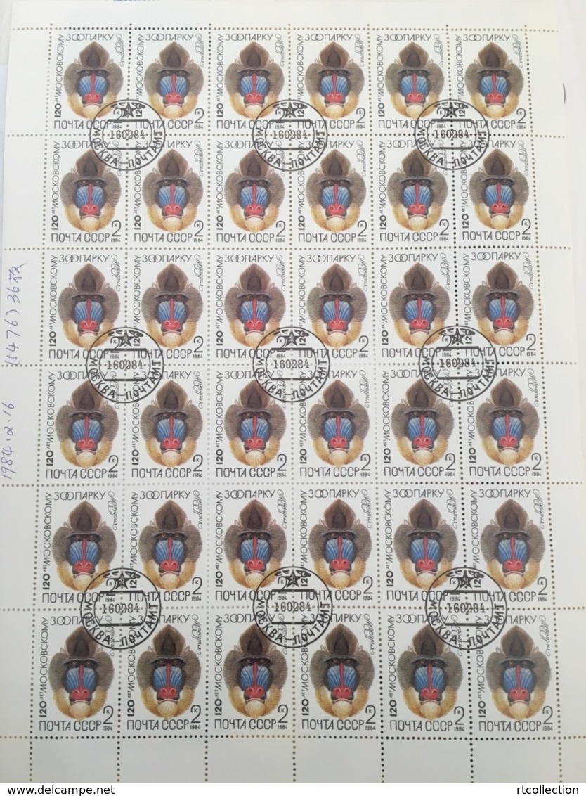 USSR Russia 1984 Sheet Moscow Zoo 120th Anniv Animals Wildlife Gorillas Nature Fauna Celebrations Stamps CTO Mi 5353 - Gorilas