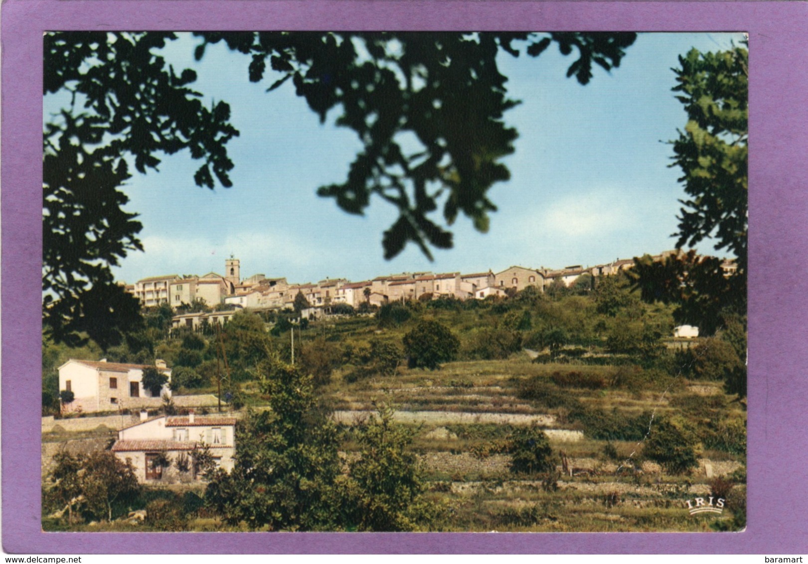 83 MONTAUROUX  Vue Générale - Montauroux