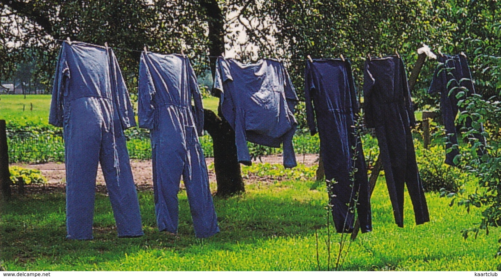 Holten  - Waslijn Met Wapperende Overalls, Boerderij, Heide, Dorp - Holten