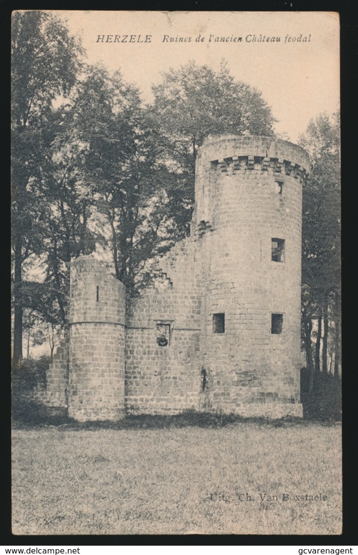 HERZELE   RUINES DE L'ANCIEN CHATEAU FEODAL  !!!!!!  KLEIN SCHEURTJE BOVENAAN IN HET MIDDEN - Herzele