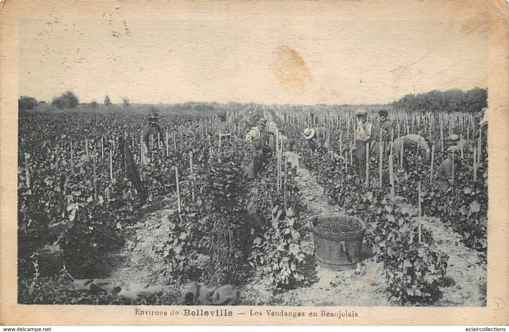 Belleville Sur Saône    69   Environs De.....  Les Vendanges En Beaujolais.  (voir Scan) - Belleville Sur Saone