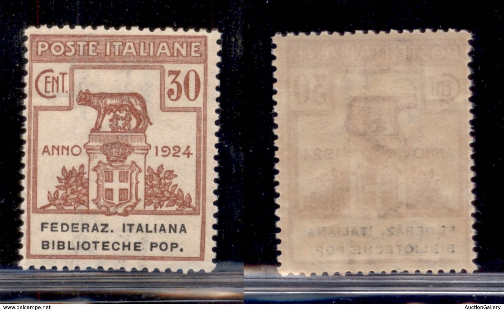 Regno - Enti Parastatali - 1924 - 30 Cent Biblioteche Pop. (35) - Gomma Integra (325) - Other & Unclassified