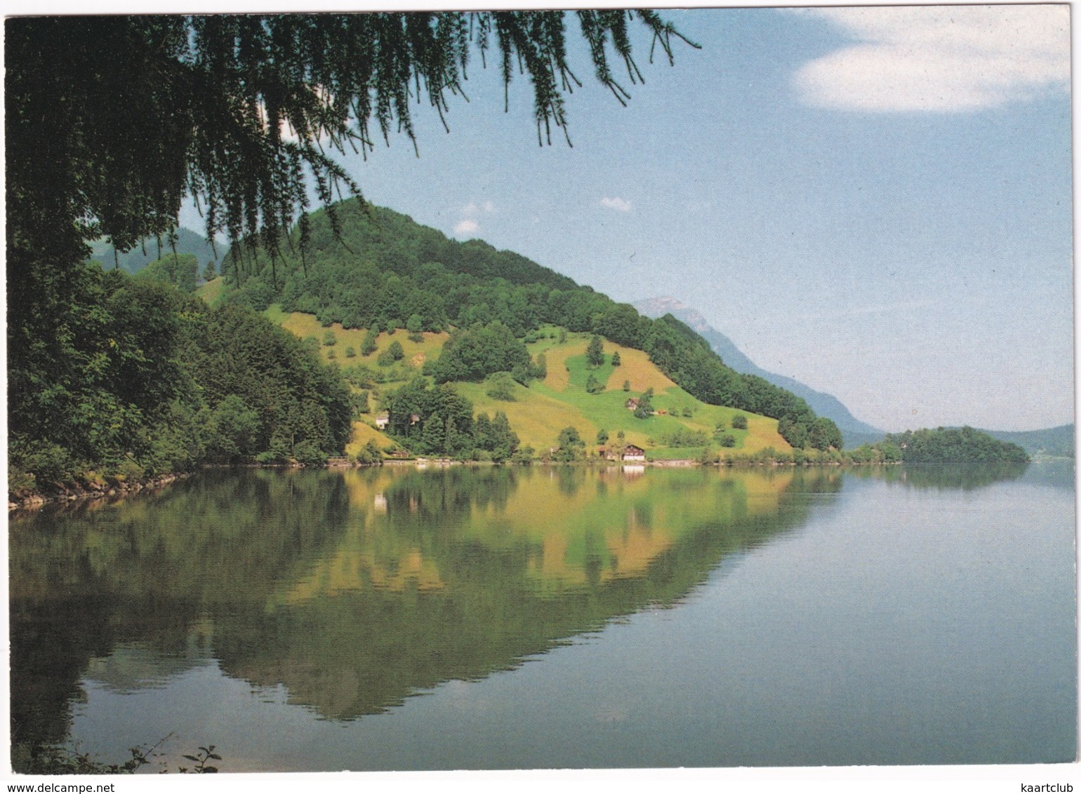 Lauerzersee / Lac De Lauerz - 1988 - (Suisse/Schweiz) - Lauerz