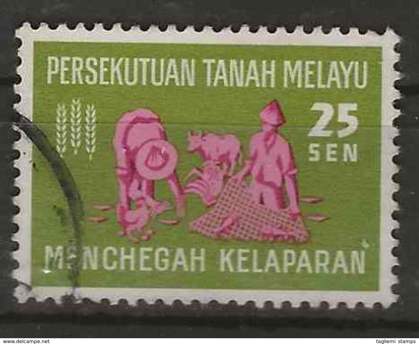 Malaysia - Federation Of Malaysia, 1963, SG 32, Used - Fédération De Malaya