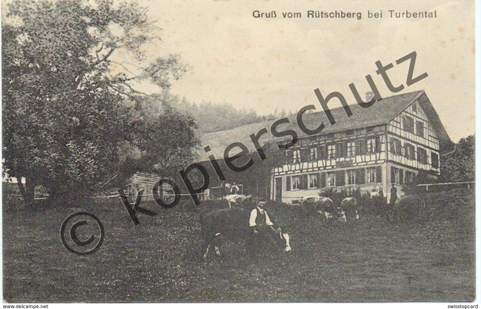 Gruss Aus RÜTSCHBERG Bei Turbental Landwirtschaft Photo-Verlag V. Hch. Sattler Kempten-Wetzikon - Wetzikon