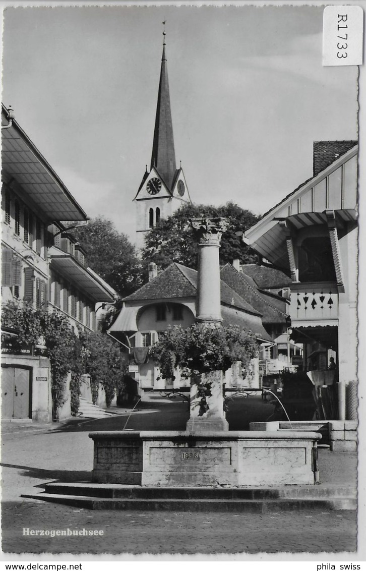 Herzogenbuchsee - Kirche, Brunnen - Herzogenbuchsee