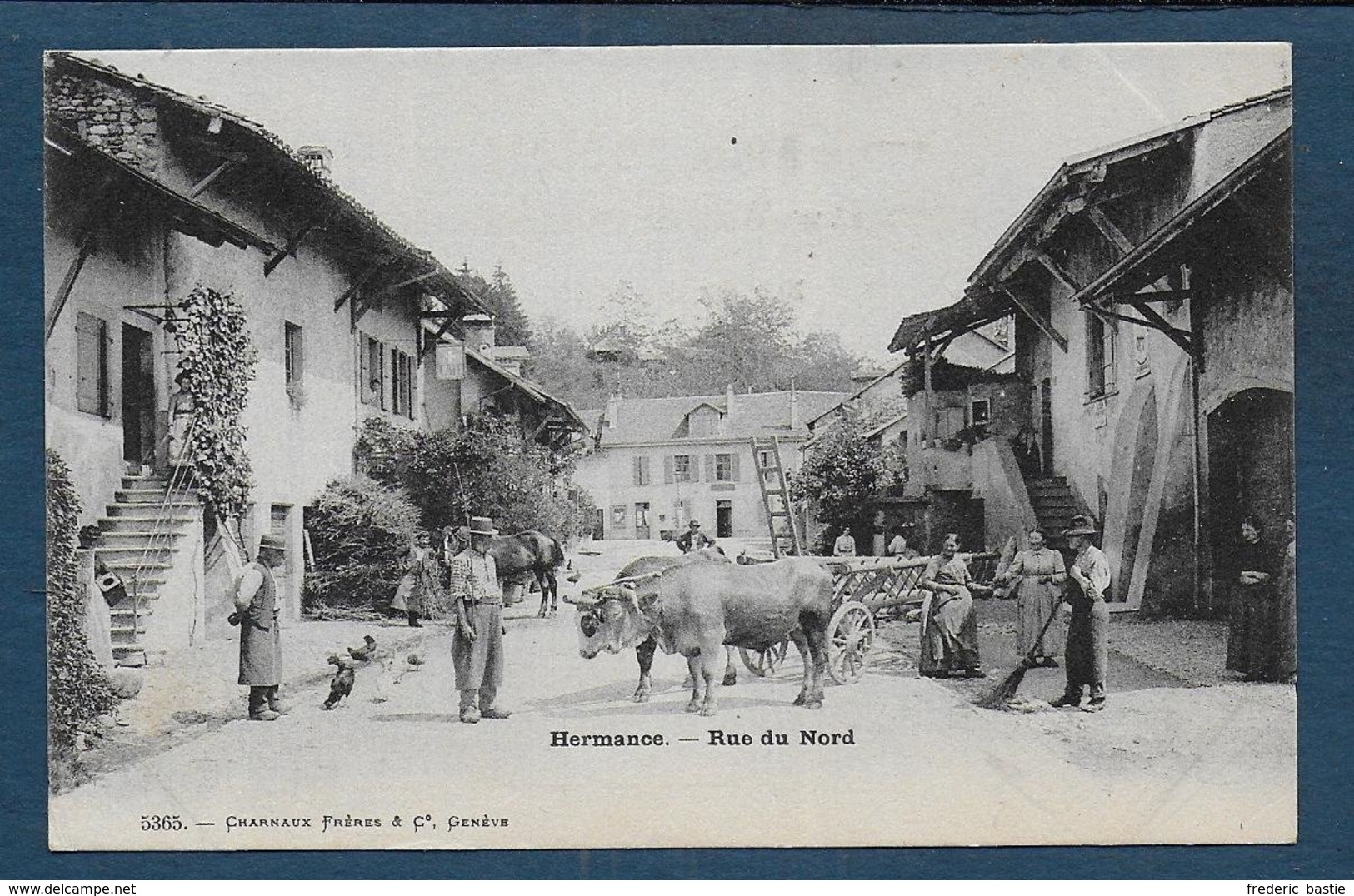 HERMANCE - Rue Du Nord - Hermance