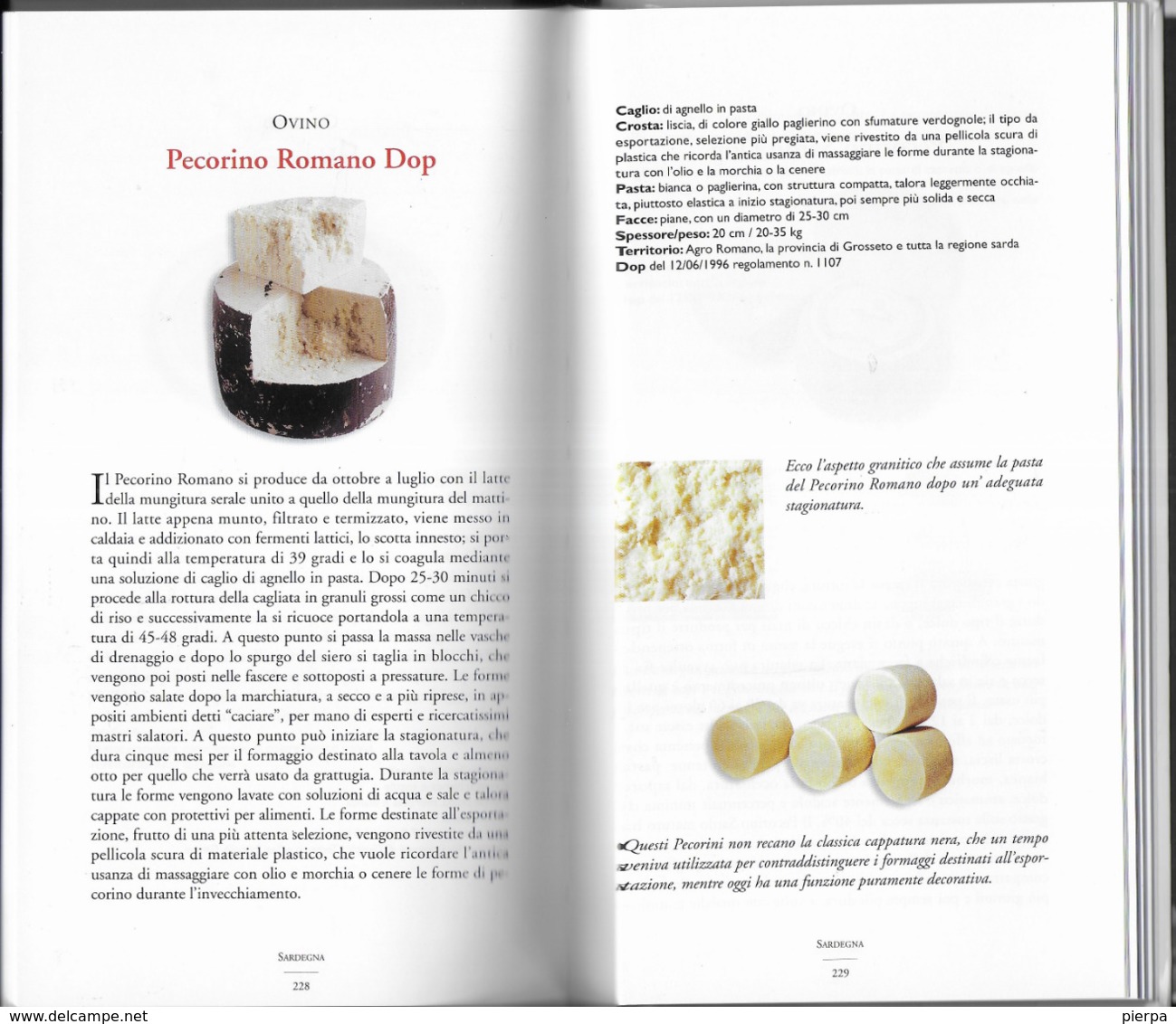 FORMAGGI D'ITALIA - GUIDA AI FORMAGGI ITALIANI - SLOW FOOD EDITORE 2002 - PAG 309 - USATO COME NUOVO - 12,50X22 - Maison Et Cuisine