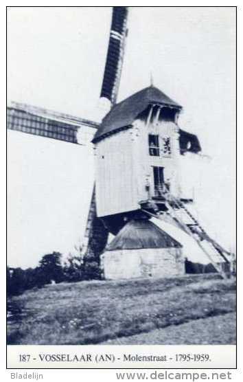 VOSSELAAR (Antwerpen) - Molen/moulin - Blauwe Prentkaart Ons Molenheem Van De Bergeneindmolen Omstreeks 1950 - Vosselaar