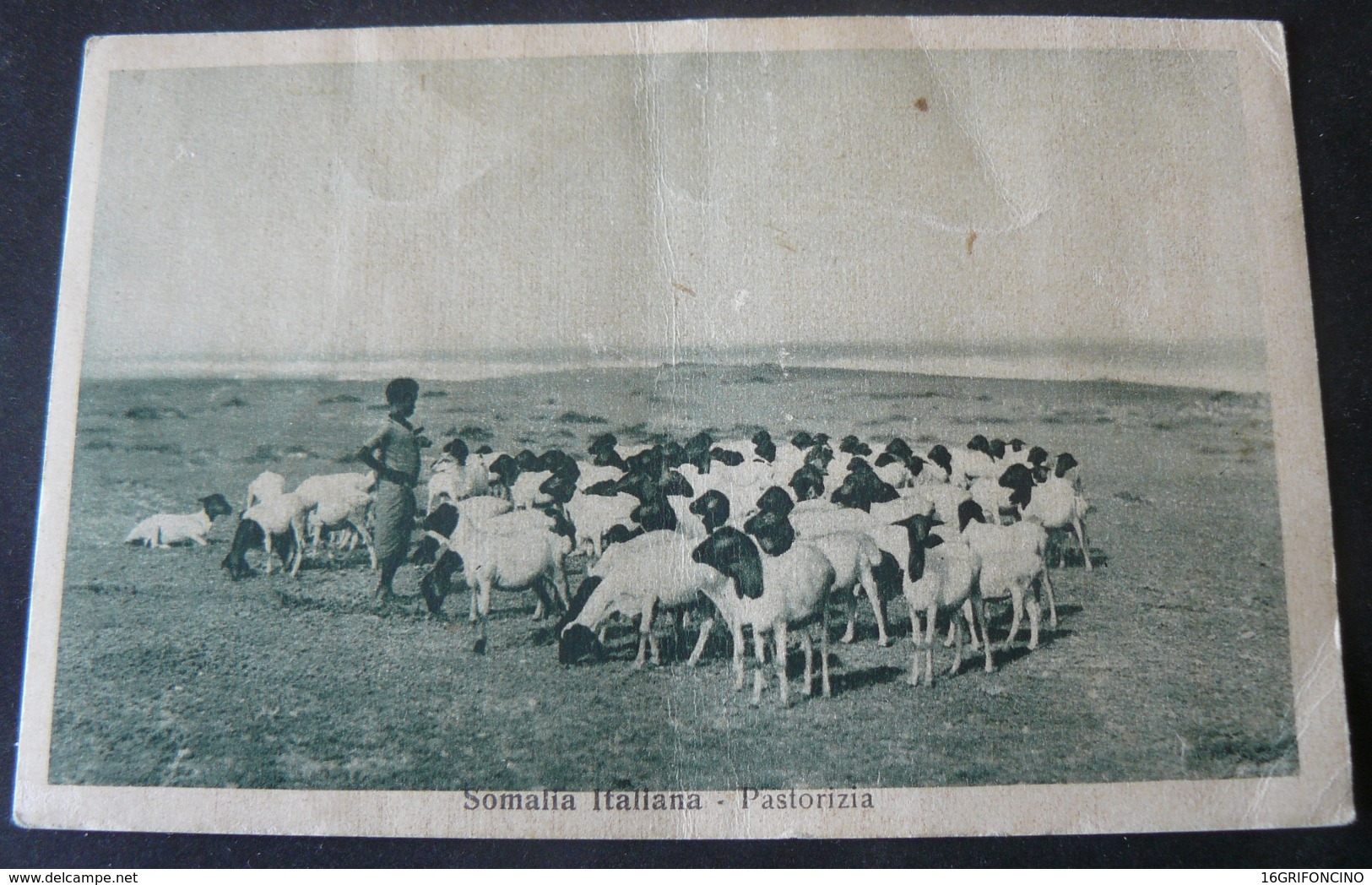 SOMALIA  ITALIAN  COLONY 1936 : STOCK - RAISING /  AL  PASCOLO..VIAGGIATA PER  S. MARIA CAPO A VETERE - Somalië