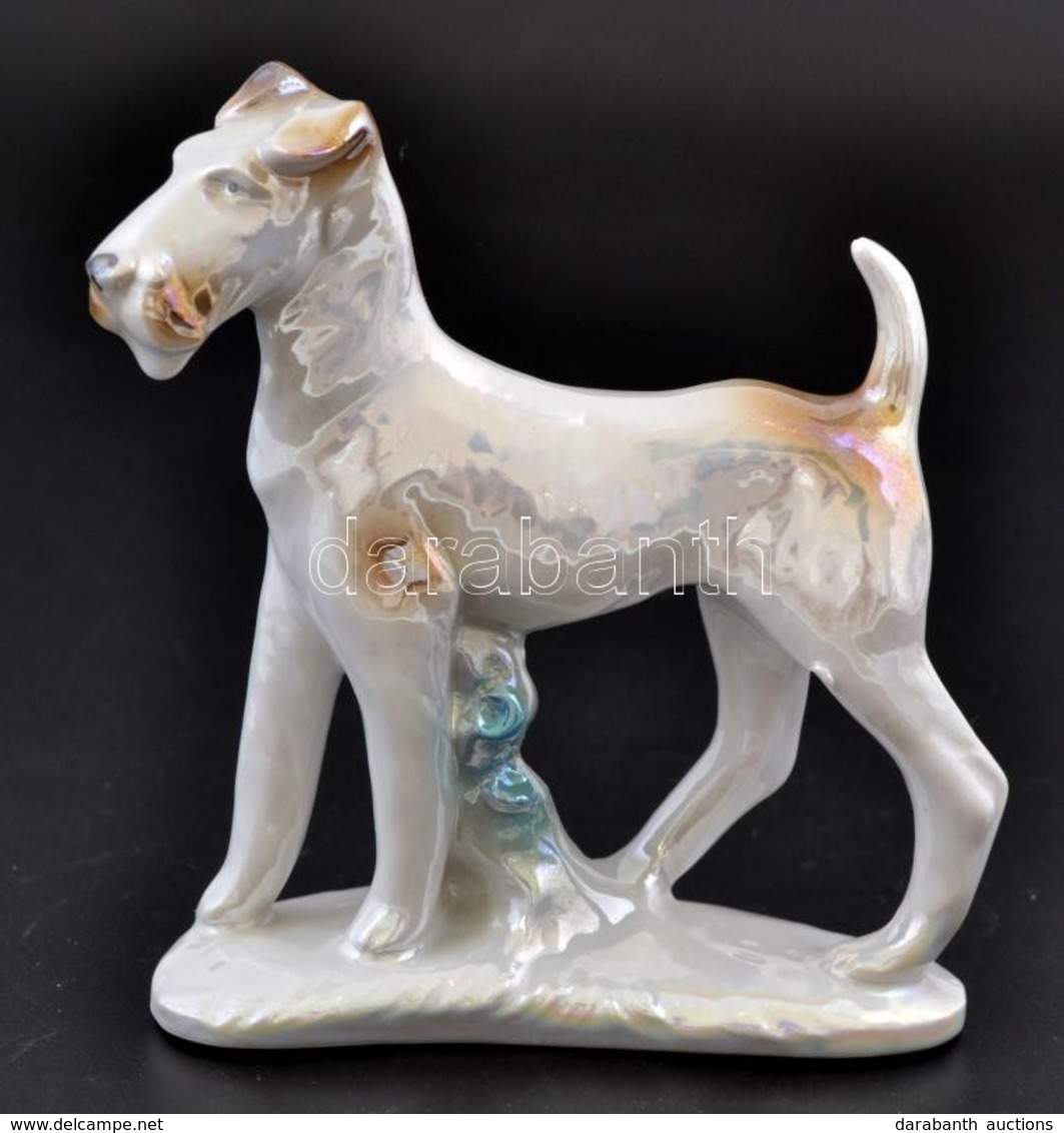 Foxterrier Porcelán Figura, Kézzel Festett, Jelzés Nélkül, Hibátlan, 12×11 Cm - Sonstige & Ohne Zuordnung