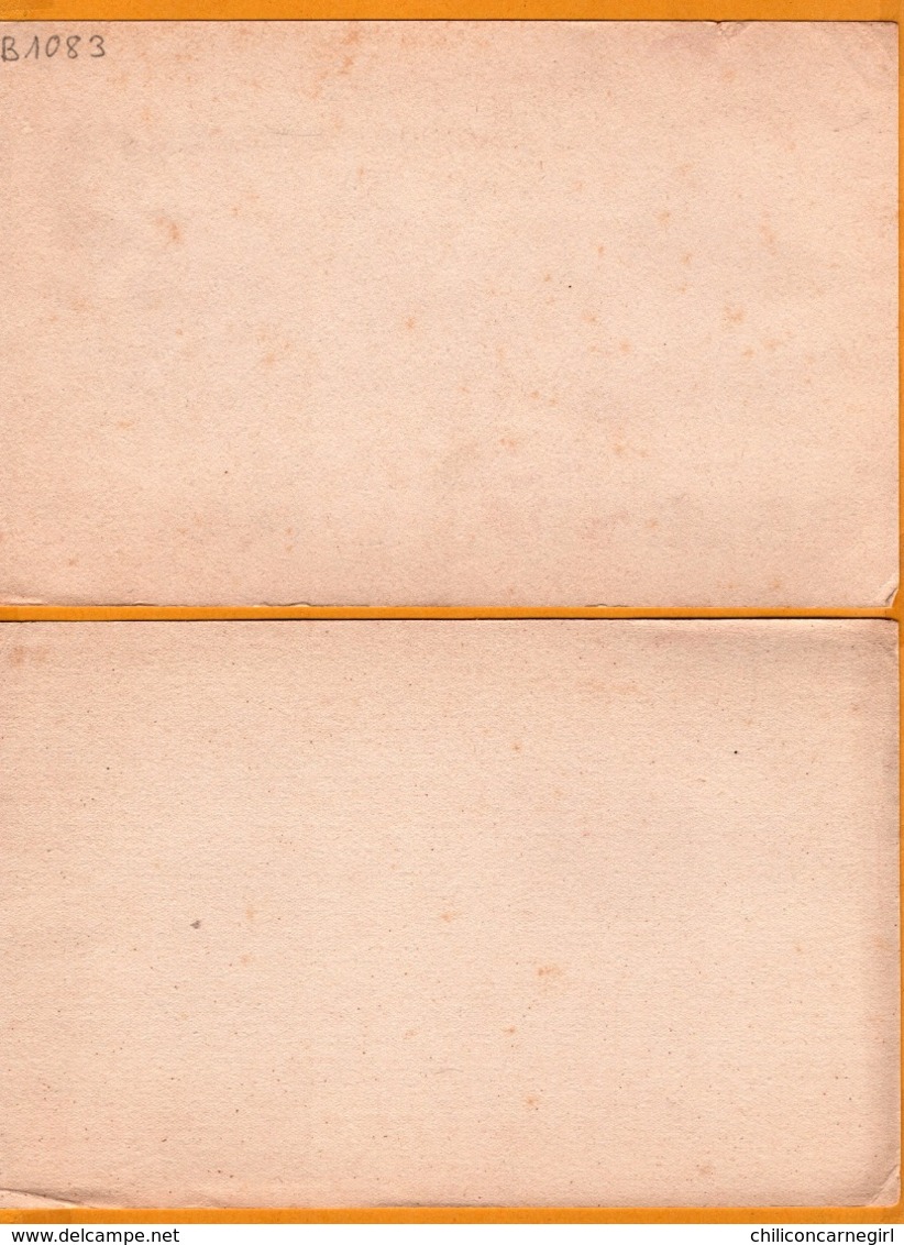 2 BUVARD - BLOTTING PAPER - Chocolat DELESPAUL HAVEZ - Collectionnez Nos Photos De Voyage - MARCQ EN BAROEUL - Kakao & Schokolade