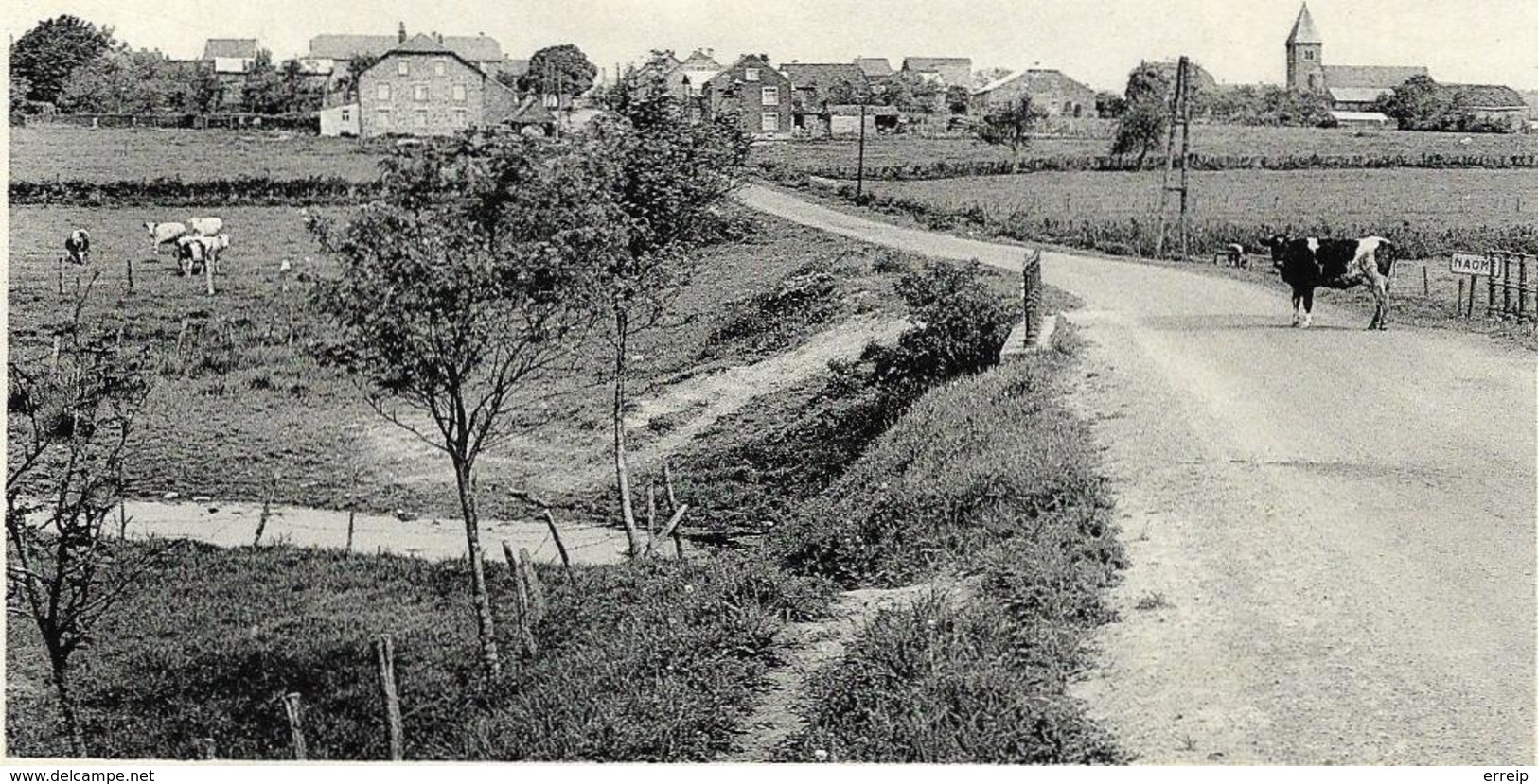 Naomé Pont Route Sur Le Ruisseau - Bièvre