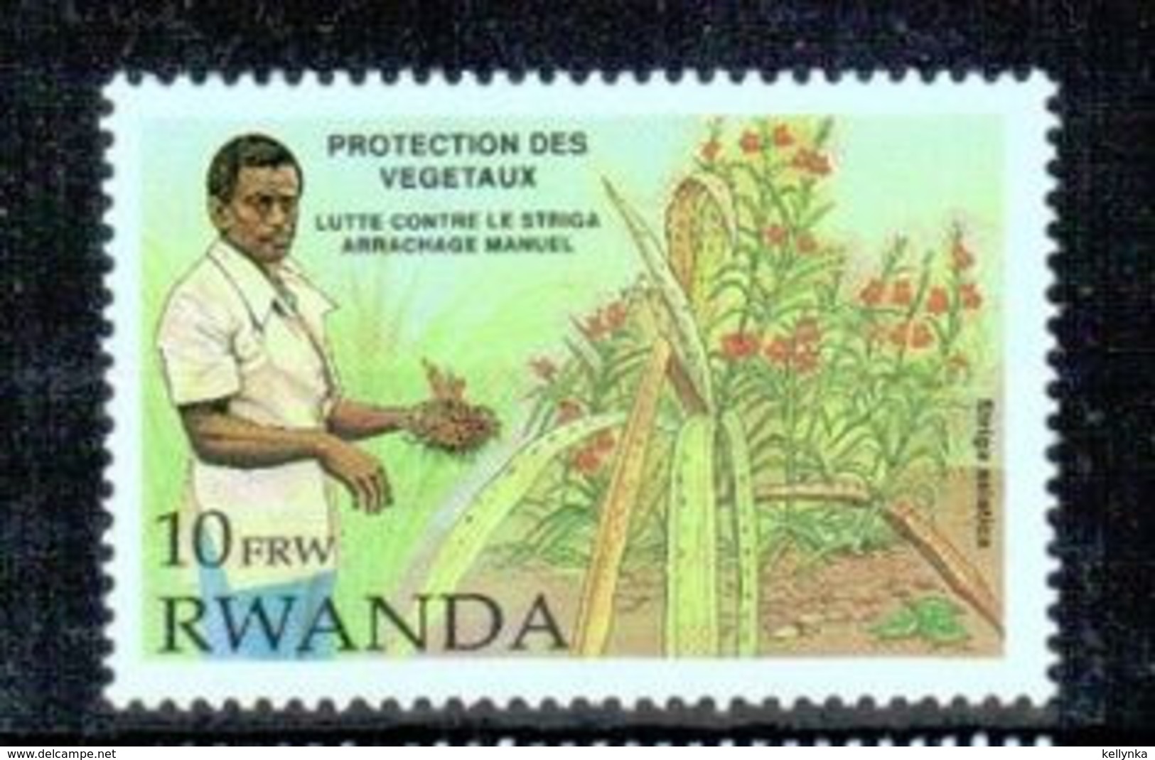 Rwanda - 1399 - Végétaux - 1993 - MNH - Ungebraucht