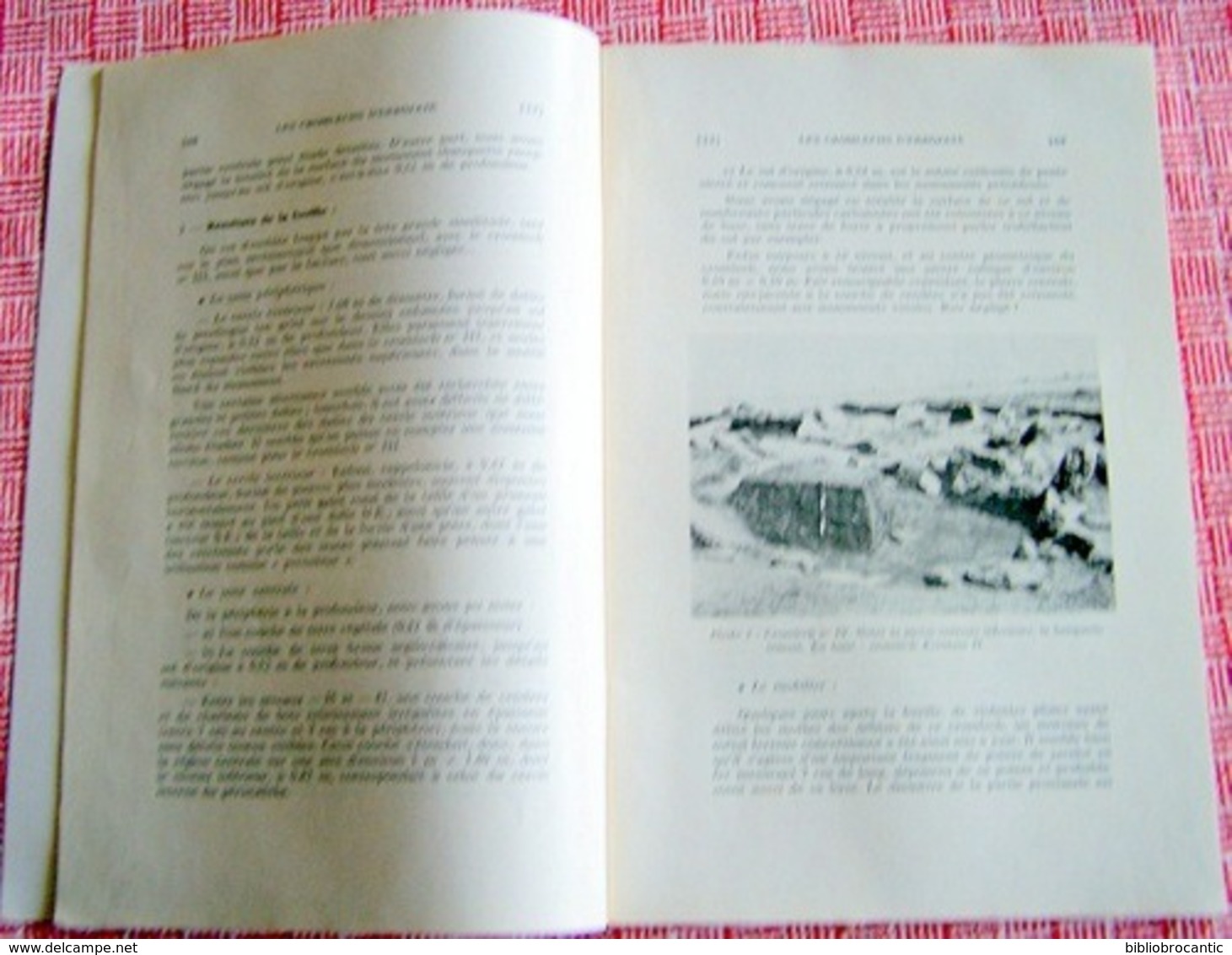 BULLETIN Du MUSEE BASQUE N°78(4°tr/1977)CHROMLECHS ERROZATE/AINTZINA Etc... /Sommaire Sur Scan - Pays Basque