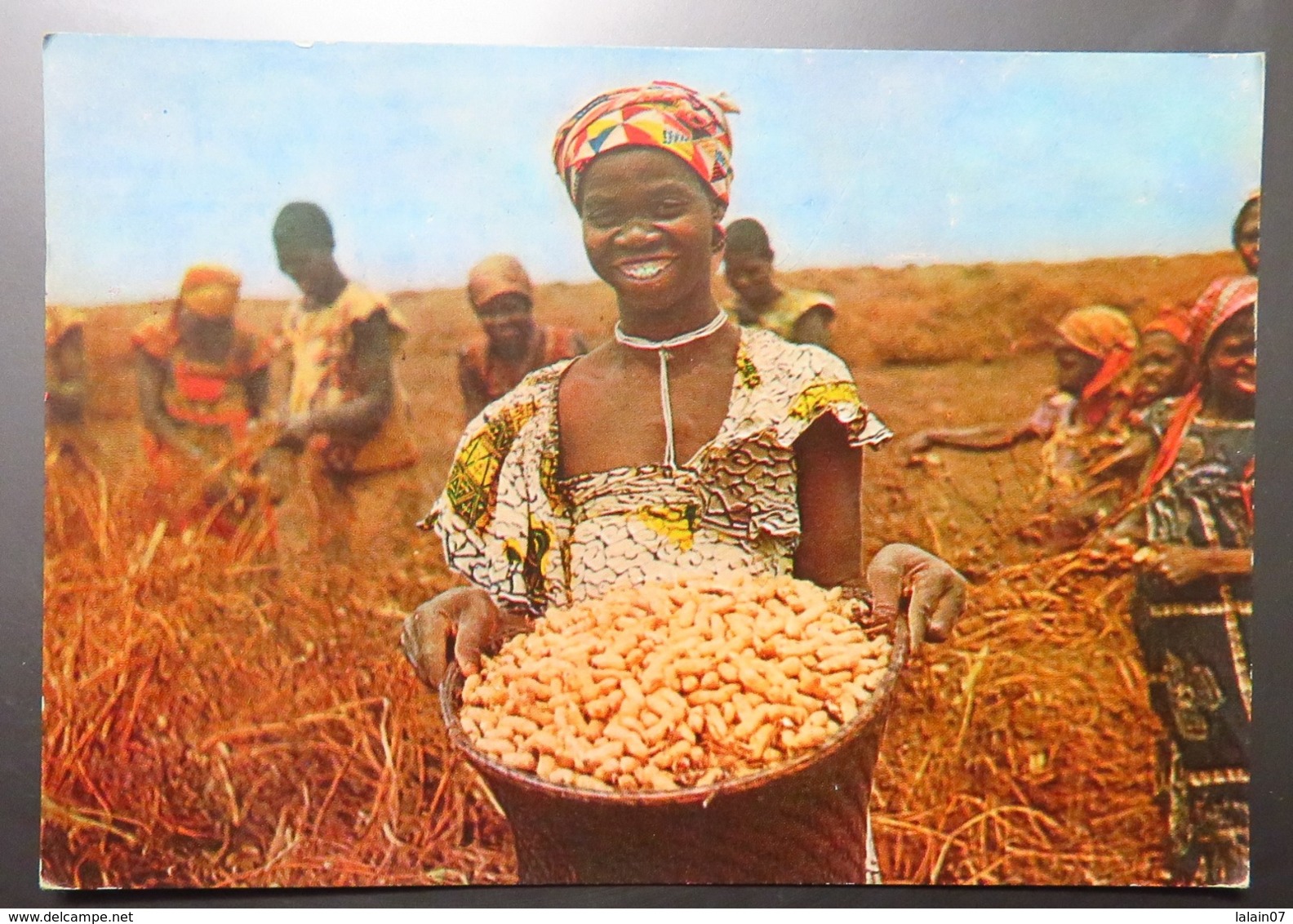 C. P. A. : FERNANDO PO: Récolte Des Cacahuètes, Timbre, édité Par PLASMARINE - Westelijke Sahara