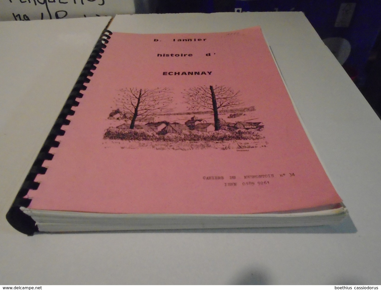 HISTOIRE D'ECHANNAY 1987 B. LANNIER / CAHIERS DU MESMONTOIS N° 34 / Bourgogne, Côte D'Or... - Bourbonnais