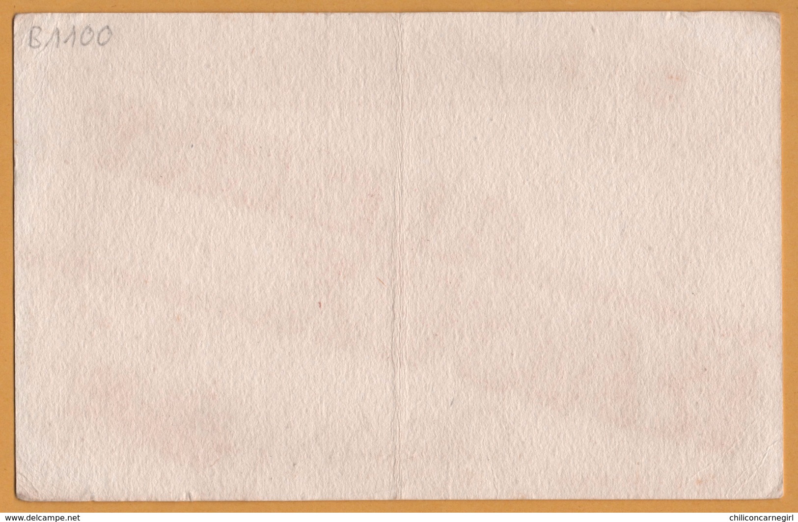 BUVARD Illustré - BLOTTING PAPER - ALBERT RAOUX - Oran - Médaille D'or - Grands Vins D'Oranie - V