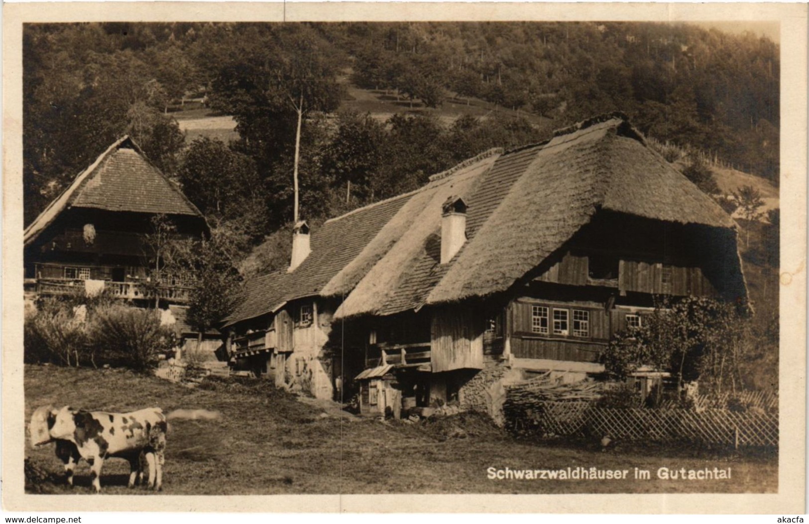 CPA AK Schwarzwaldhauser Im Gutachtal GERMANY (933427) - Gutach (Schwarzwaldbahn)