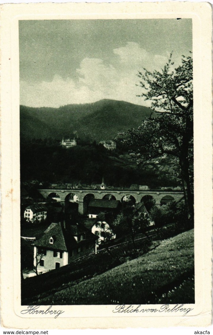 CPA AK Hornberg Blick Vom Rebberg GERMANY (934522) - Hornberg