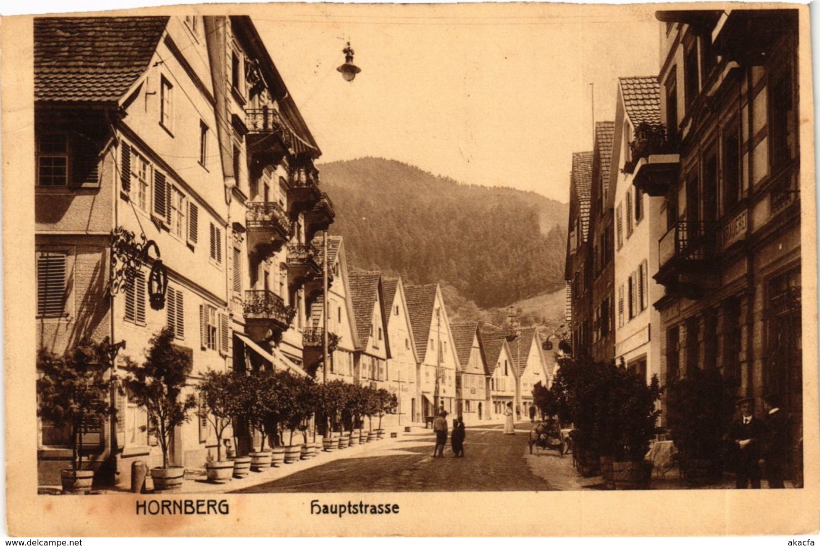 CPA AK Hornberg Hauptstrasse GERMANY (934625) - Hornberg