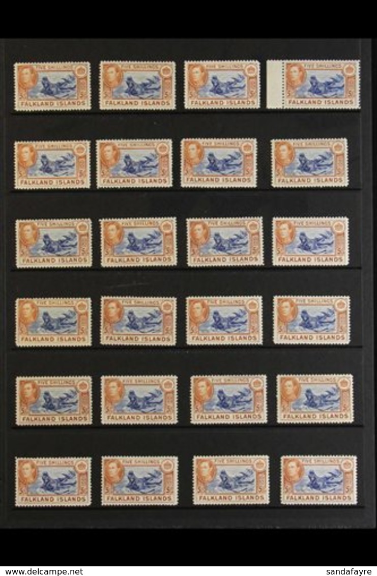 1938-50 5s "SEALION" SHADES ACCUMULATION CAT £2875+  A Stock Page Bearing 24 Fine Mint Examples Of The Pictorial 5s "Sou - Falkland