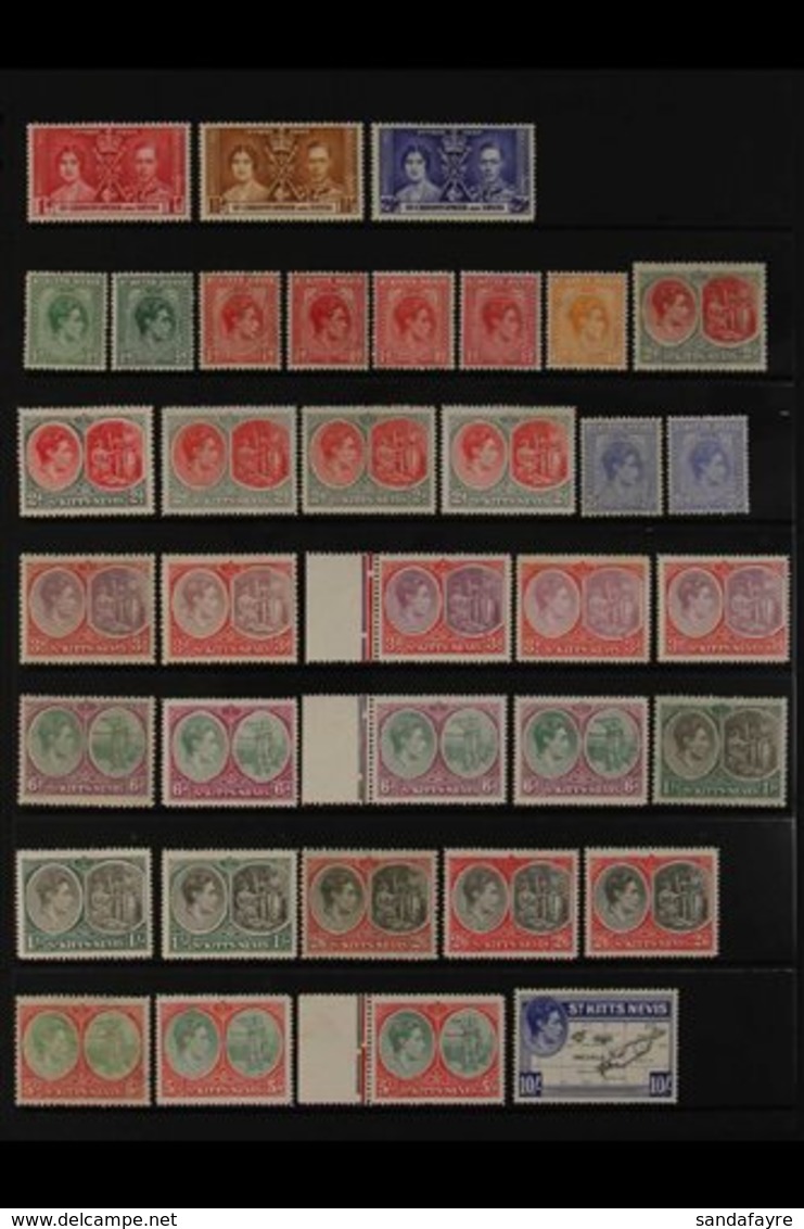 1937-1952 COMPLETE FINE MINT COLLECTION  On Stock Pages, Includes 1938-50 Set With Many Shades, Perf & Paper Types Incl  - St.Kitts-et-Nevis ( 1983-...)
