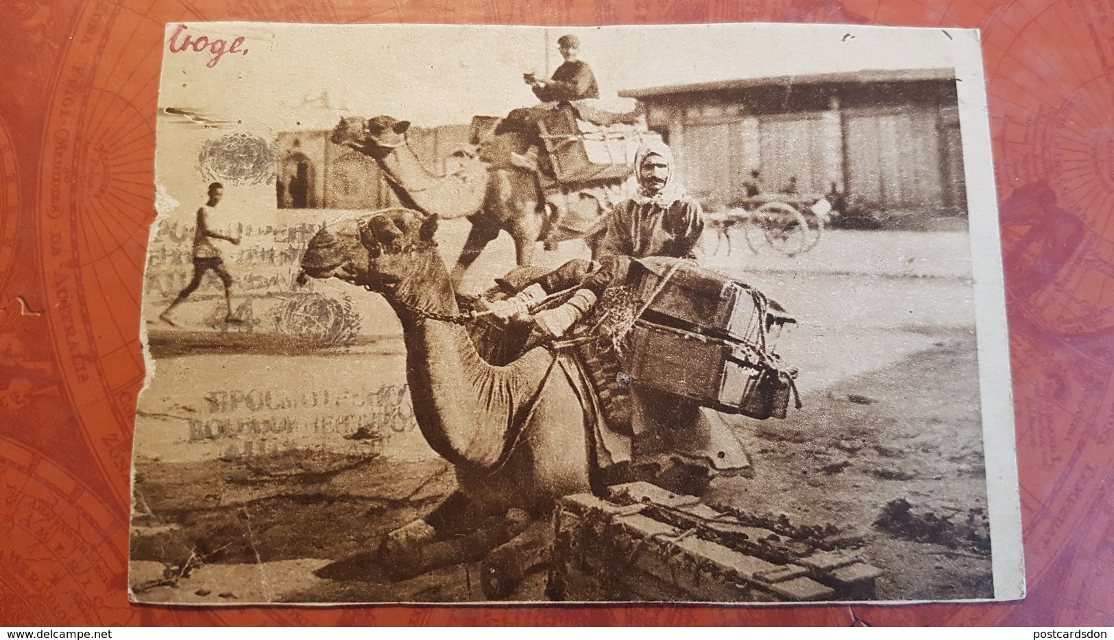 Russian Asia. Ashkhabad (Turkmenistan) Riding Camel  - OLD PC  1930s - Animated - Posted 1943 - Turkmenistan