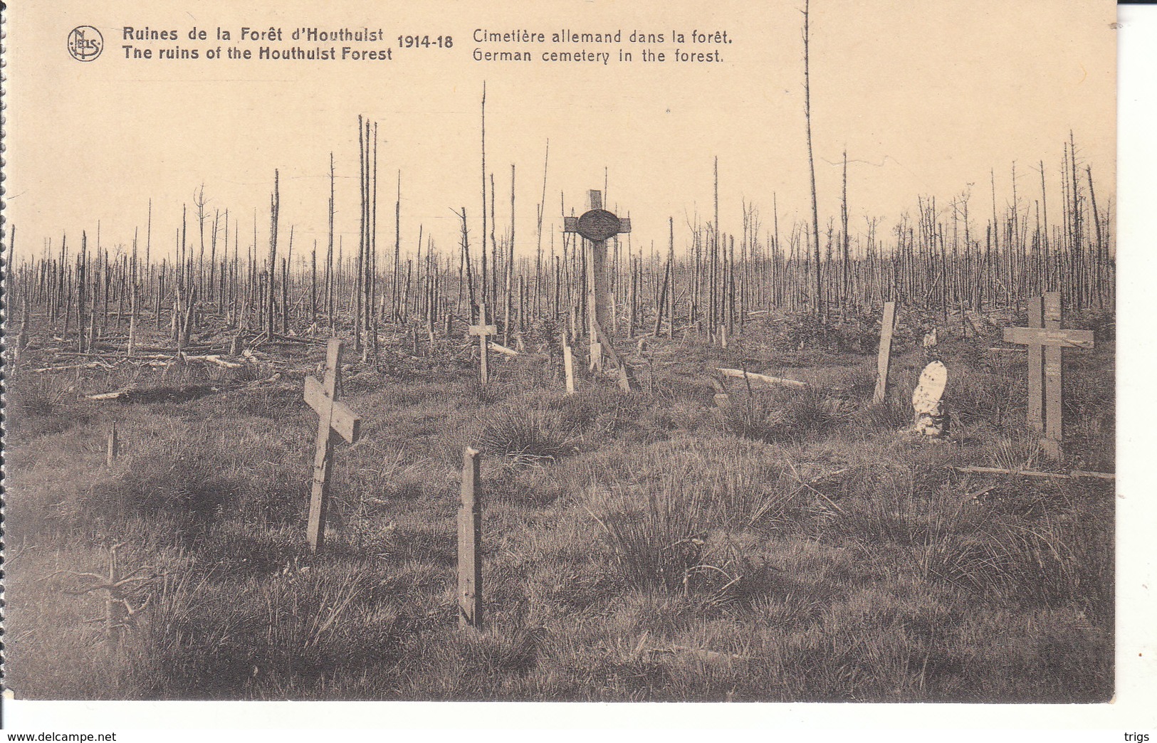 Houthulst (Ruines De La Forêt, 1914-1918) - Cimetière Allemand Dans La Forêt - Houthulst