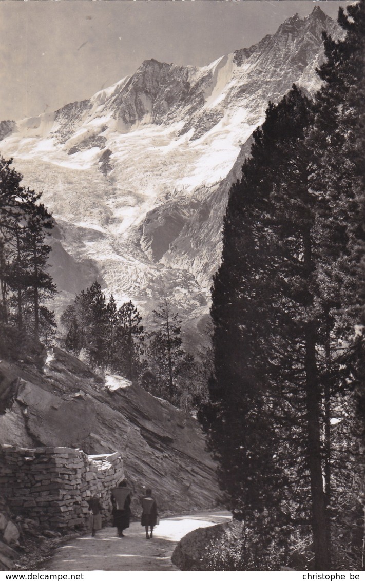 Suisse, Saas-Fee, Gebirgslandschaft Am Weg N Almagel, Täschhorn Und Dom (pk65684) - Saas Im Prättigau